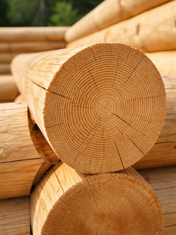 Bierwiona - bale drewniane w konstrukcji zrębowej (dom z bali)